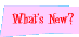 What's New?