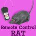 Remote Control Rat